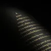 Olive Poem Drop of Art oliwa wczesnego zbioru extra virgin Podgląd zdjęcia produktu 6