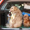 YZNAHRE Hunderampe Klappbar Auto Hundetreppe mit Produktbild-Vorschau 9