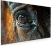 Küchenrückwand Spritzschutz Glas mit Motiv Pferdeauge 40 x Produktbild-Vorschau 1