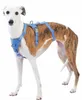 Harnais de sécurité pour chien, anti-évasion, Voir les images du produit 1
