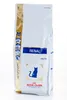 A bag of Royal Canin Veterinary Diet cat food, specifically for renal support. Náhled obrázku produktu