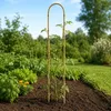 KADAX Bambusstäbe in U-Form, 105cm x 10/12mm x 15cm, 10er Produktbild-Vorschau 4