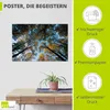 ARTland Poster Herbst im Wald Größe: 30x20 cm Produktbild-Vorschau 2