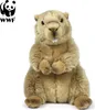 WWF - Peluche - marmotta (23 cm) peluche realistico Anteprima dell’immagine prodotto 1