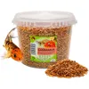 UGF Premium Gammarus – Getrocknete Bachflohkrebse 300g (3L) Produktbild-Vorschau 2