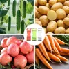3er Set Sparschäler 6 in 1 Gemüseschäler Multischäler für Produktbild-Vorschau 6