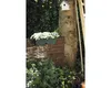 elho green basics trough allin1 50cm, Topfpflanzer, Produktbild-Vorschau 1