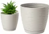 A potted fern sits in a light gray planter next to an empty planter of the same design. Podgląd zdjęcia produktu