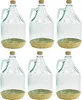6 X 3L Glasballon mit Korb/Weinballon Glas Flasche Produktbild-Vorschau 1
