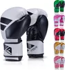 Apollo Boxhandschuh Champion Punch-12oz - Black/White Produktbild-Vorschau 1