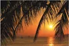 Wallario Wandbild Sonnenuntergang unter Palmenblättern, Produktbild-Vorschau 1