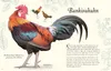 Wundervolle Welt der Vögel Produktbild-Vorschau 6