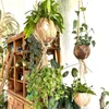 BioCoco Pot Vaso in cocco per orchidee epifite Anteprima dell’immagine prodotto 6