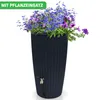 A tall, dark gray rain barrel filled with blue and purple flowers, set against a white background. Produktbild-Vorschau