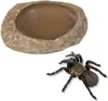 Ciotola e mangiatoia 6 × 1,5 × 4,5 cm Anteprima dell’immagine prodotto 2