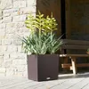 Lechuza Samozavlažovací květináč Cube Cottage 40 cm, hnědá Náhled obrázku produktu 28