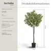 Umělý olivovník Oleand, realistická textura - 150 cm Náhled obrázku produktu 13