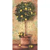 Noris Spiele Malen nach Zahlen - Citrus Limonum; 609220397 Produktbild-Vorschau 2