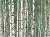 ARTland Wandbild Alu für Innen & Outdoor Birkenwald - Bäume Produktbild-Vorschau 1