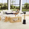 A man relaxes on a couch with a dog, while a robotic fan stands nearby. Podgląd zdjęcia produktu