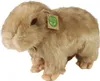 Peluche Capibara 30 Cm Ecologico Anteprima dell’immagine prodotto 6