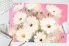 MuchoWow® Schreibtischunterlage Blumen - Vase - Pflanzen - Produktbild-Vorschau 5