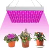 Jayseuw 1PC LED lampa na rastliny, 45W s 225 červenými a Náhľad obrázku produktu 10