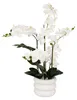 Künstliche Orchidee MICK im Keramiktopf, 80 cm Produktbild-Vorschau 1