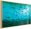 Posterpapier Poster - Group of Dark Fish 90x60 cm Tiere Produktbild-Vorschau 1