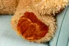 Close-up of a teddy bear's paw resting on a light blue textured surface. Voir les images du produit