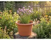 Glockenblumen-Blumentopf aus Terrakotta, Durchmesser 40 cm Produktbild-Vorschau 12