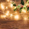 Salcar 2 sztuki 10 m 100 diod LED lampki choinkowe USB Podgląd zdjęcia produktu 3