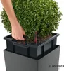 Lechuza Samozavlažovací květináč Cubico Cottage 30 cm, Náhled obrázku produktu 22
