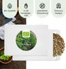 Semi di prezzemolo biologico riccio - semi di erbe da Anteprima dell’immagine prodotto 4