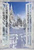 Wallario Poster mit Fenster-Illusion: Wanderweg im Schnee, Produktbild-Vorschau 1