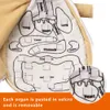 Poupée anatomique avec organes amovibles - Jouet éducatif Voir les images du produit 6