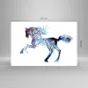 Bilder auf glas - natur malen schön Hengst - 120x80cm - Produktbild-Vorschau 3