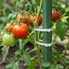 PFLANZENSTÄBCHEN 120 cm, 11 mm, 10er-Set Produktbild-Vorschau 7