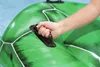 Bestway® Schwimmtier Schildkröte 140 x 140 cm Produktbild-Vorschau 14