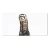 MuchoWow® Mauspad Mousepad Frettchen - Tiere - Fell 60x30 Produktbild-Vorschau 1