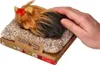 Perfekt Petzzz Little York Welpe 13 cm Produktbild-Vorschau 3