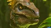 Close-up of a dinosaur's head with green foliage in the background. Produktbild-Vorschau