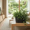 Vyveo - Blumentopf Varda - Hellgrau - 32x13x14 Produktbild-Vorschau 9