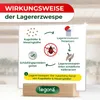 Legona Lagererzwespen gegen Kugelkäfer und Messingkäfer 3 Produktbild-Vorschau 3