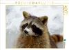 Calvendo Waschbär im Schnee 1000 Teile Puzzle quer Produktbild-Vorschau 3