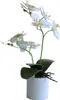 Dekorativní hedvábné orchideje bonsai, umělé květiny s Náhled obrázku produktu 1