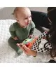 Lamaze interaktives Babybuch Finlee der Frosch mit Produktbild-Vorschau 9