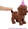 Mattel GXV75 - Bambola e set di gioco di Barbie Doggie Anteprima dell’immagine prodotto 10