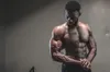 Dyanabol Testo Booster Muskelaufbau Extrem Testosteron Produktbild-Vorschau 8