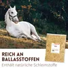Supravit Hafer ganz 2,5kg | Frischer gelber Futterhafer Produktbild-Vorschau 5
